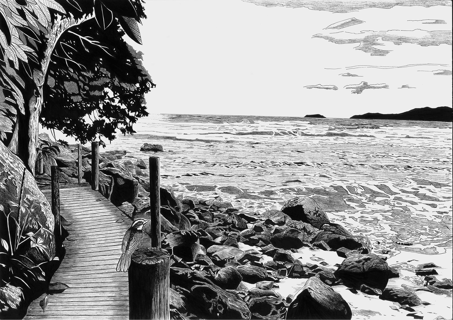 Pigma Manga 2020: Praia das Toninhas (Giải 1)